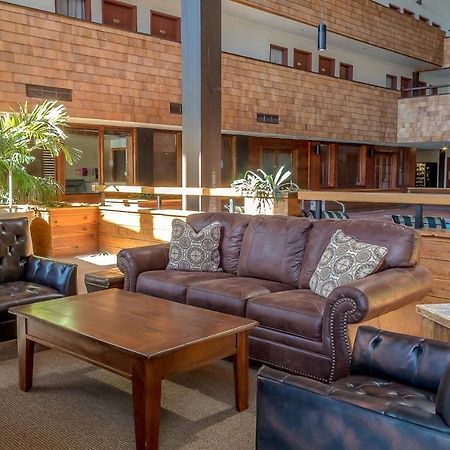 Mountain Delight Apartment Крестед Бют Екстериор снимка
